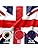 3FT x 2FT United Kingdom Flag Great Britain National Union Jack Flag High-End Polyester with Metal Eyelets for Indoor Outdoor Decorations Red/Blue/White 3x2 Ft
